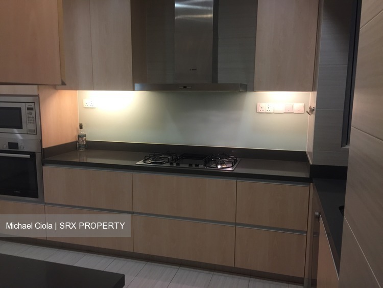Regency Park (D10), Condominium #205954361